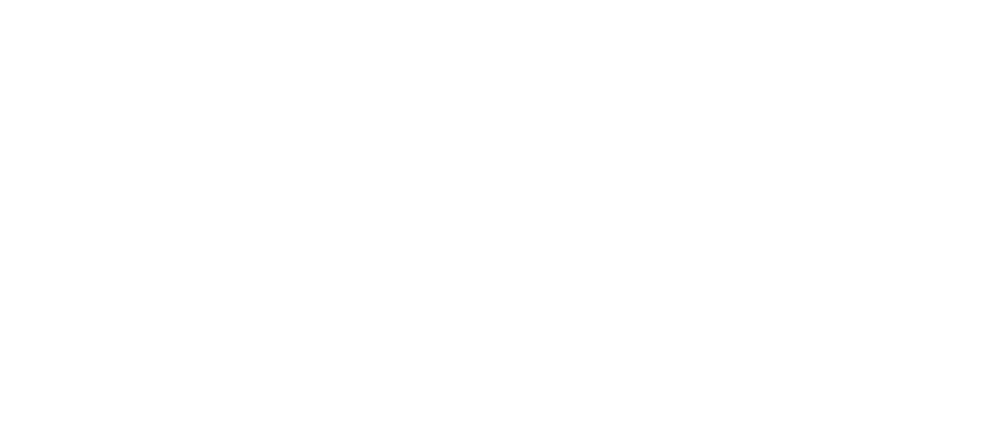 CIC 